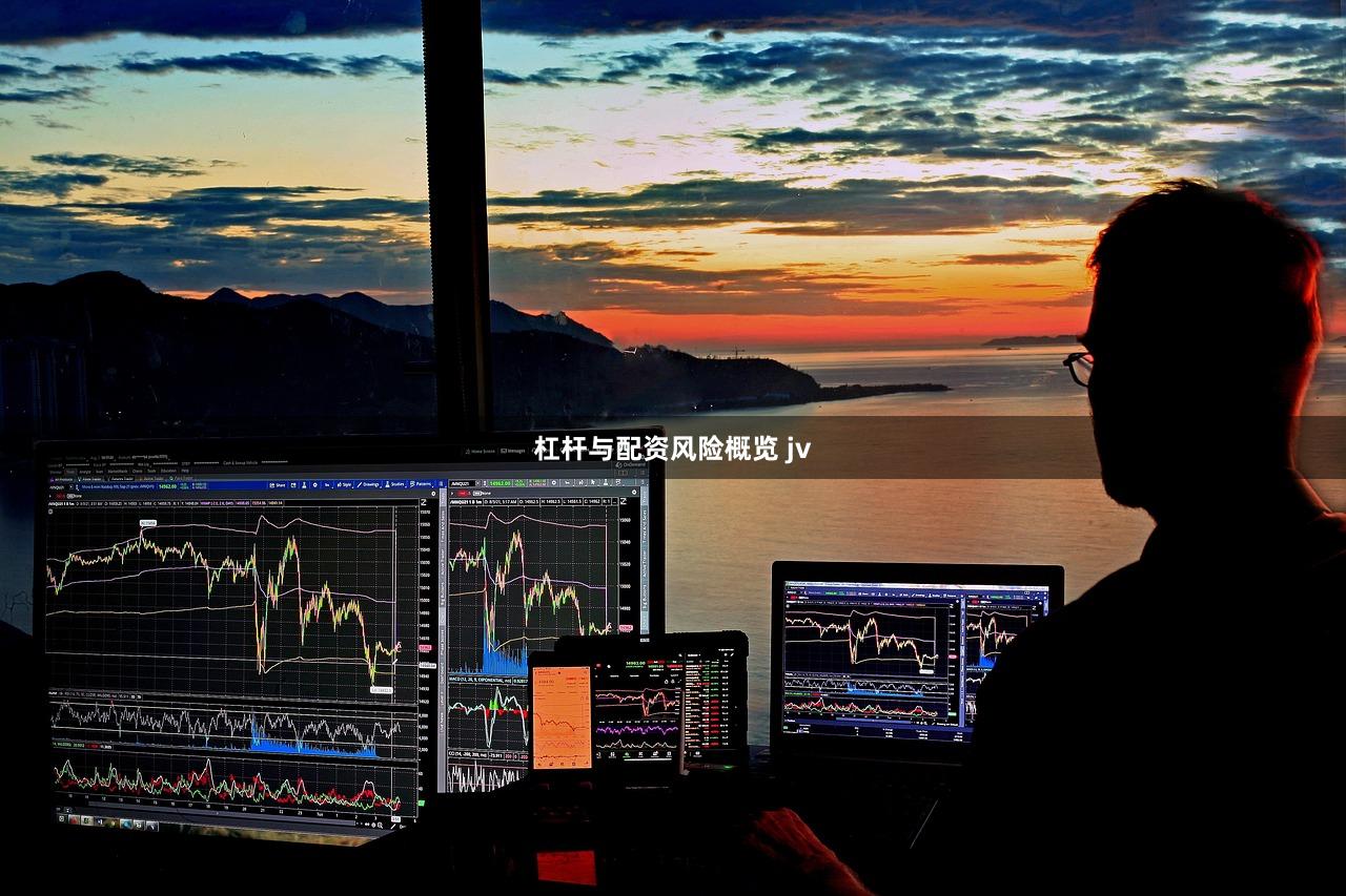 杠杆与配资风险概览 jv